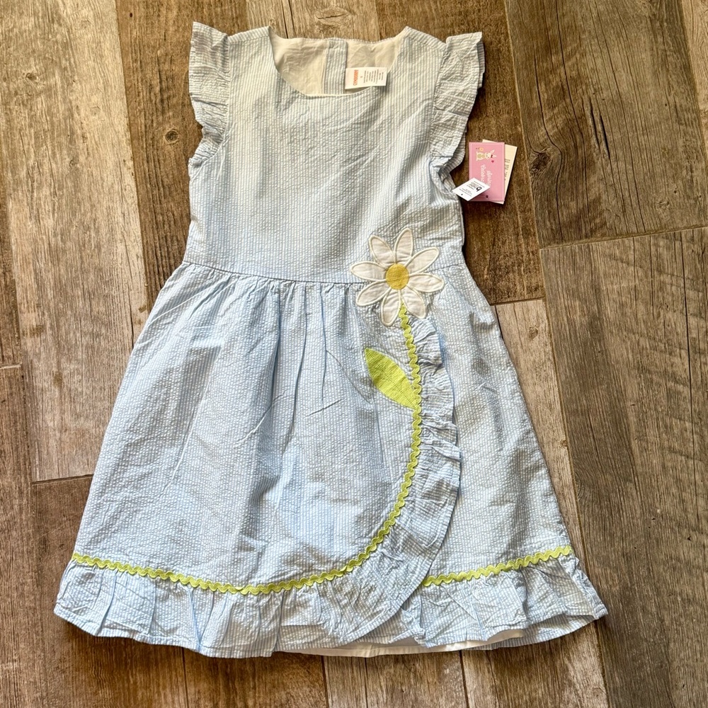 New Gymboree Embroidered Daisy Seersucker Ruffle Dress - Spring blue (8)